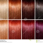 Haarkleuren voorbeelden