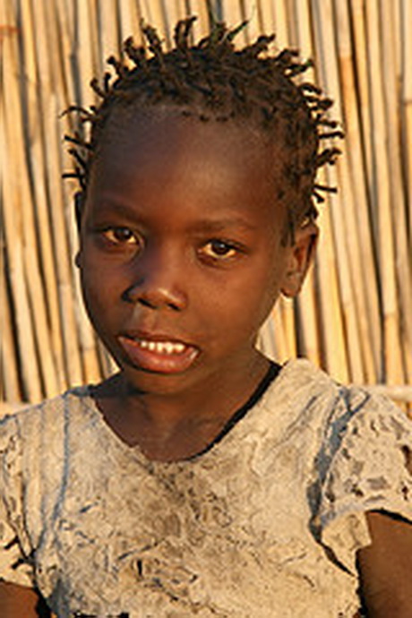 Afrikaanse haarstijlen