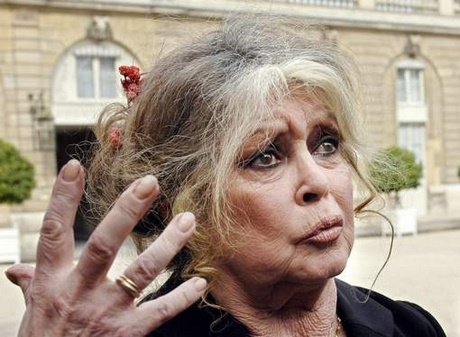 Brigitte bardot kapsel